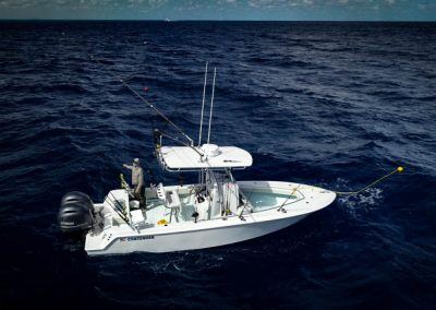 Contender Boats T Nana Twin Yamaha  Miami Fishing